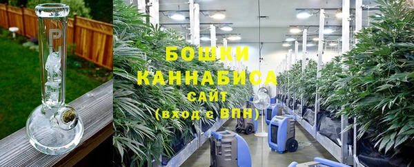 гашик Ельня