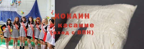 гашик Ельня