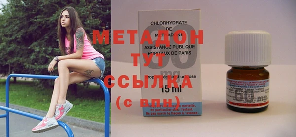 гашик Ельня