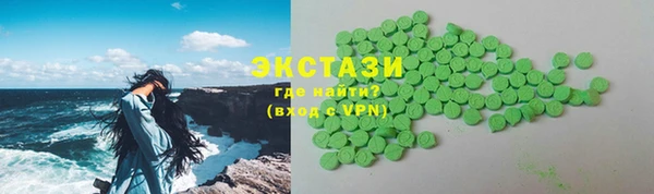 гашик Ельня