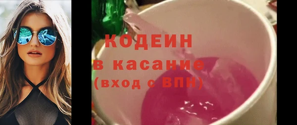 гашик Ельня