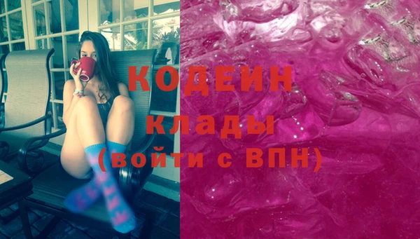 гашик Ельня