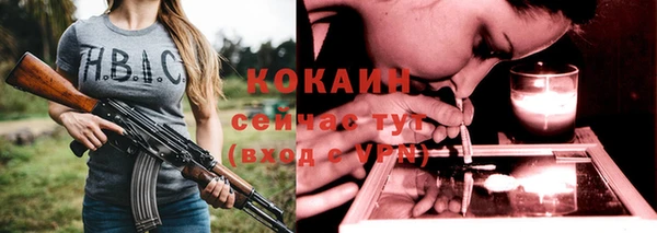 гашик Ельня