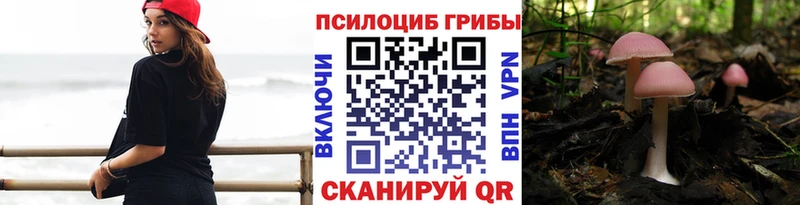 Псилоцибиновые грибы мухоморы  продажа наркотиков  Будённовск 