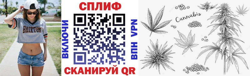 Бошки марихуана OG Kush  mega сайт  Будённовск 